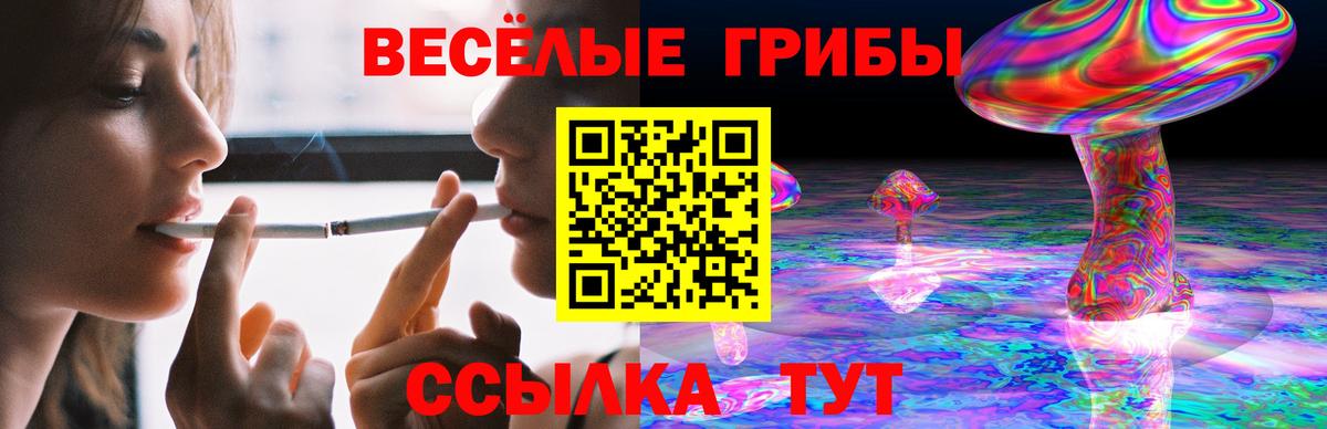 Сальск  Галлюциногенные грибы Psilocybine cubensis  Вход с VPN 